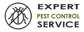 Expert Exterminator Co  Coral Springs FL